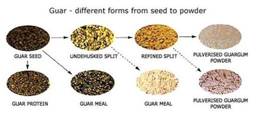 Guar Gum