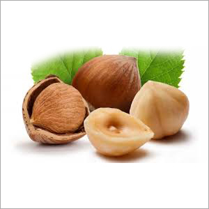 Hazel Nut
