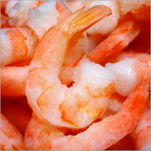 Shrimp