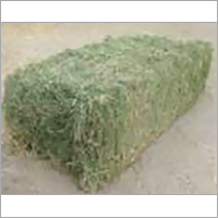 Alfalfa Hay Alfalfa Hay