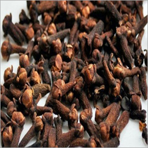 Indian Clove