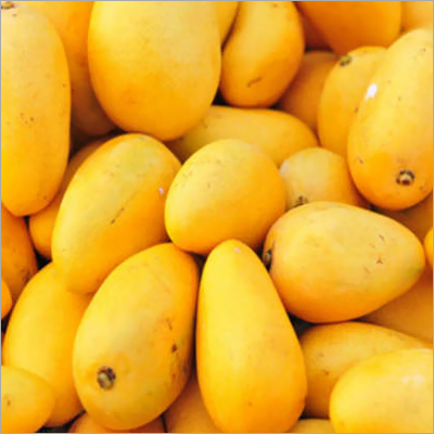 Fresh Mango