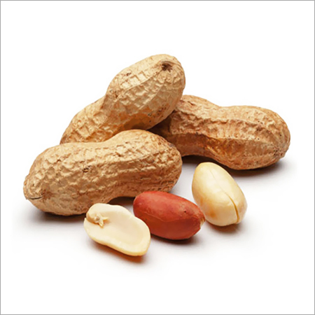 Ground Nut