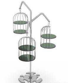 Bird Cage Display Stand