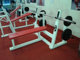 Exercise Benches