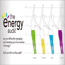 Energy Audit Solution