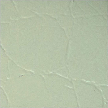 Leather Laminated Sheet