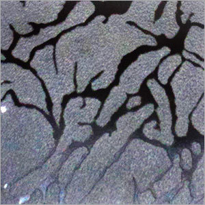 Door Laminate Sheet