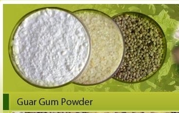Guaran Powder