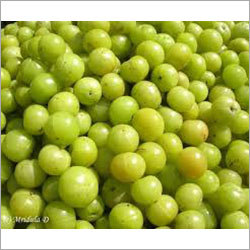 Fresh Gooseberry