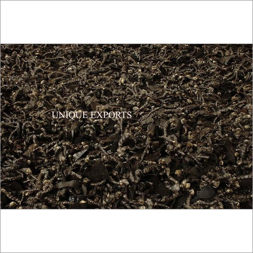 HEMPBLACK SHAGGY CLOSE UP