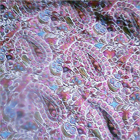 Ladies Pashmina Shawls