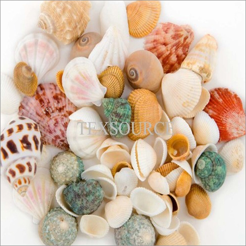 Pets Accessories 7
