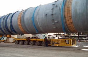 Specialized Transportation Services