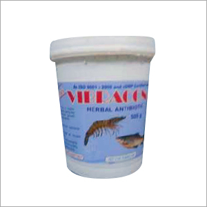 HERBAL ANTIBIOTIC SUPPLEMENT