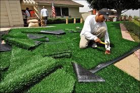 Artificial Grass