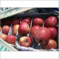 Indian Apple