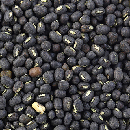 Black Grams
