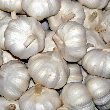 Whole Garlic