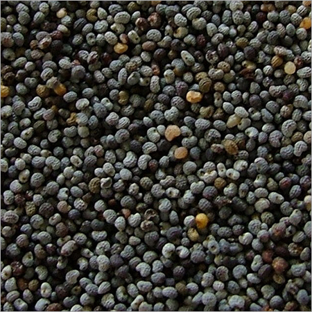Poppy Seed