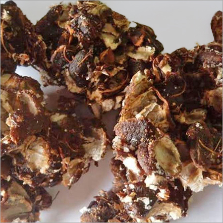 Tamarind Pulp