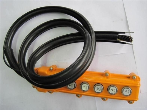 Cable with Dual Strain Relief