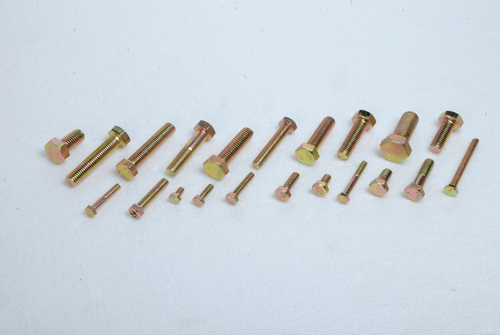 SS Fasteners