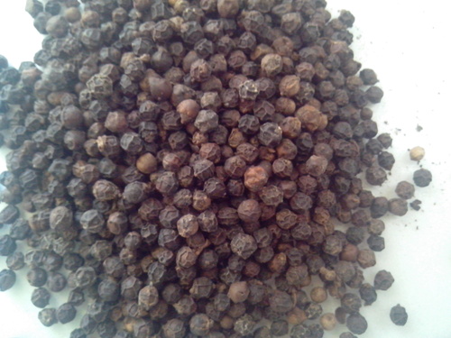 Black Pepper Seeds