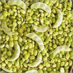 Surti Papdi