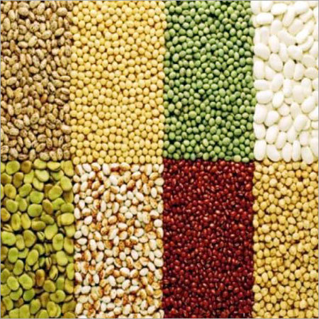 Indian Pulses