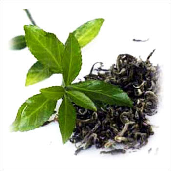 Green Tea Leaves
