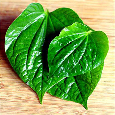 Fresh Betel Leaves
