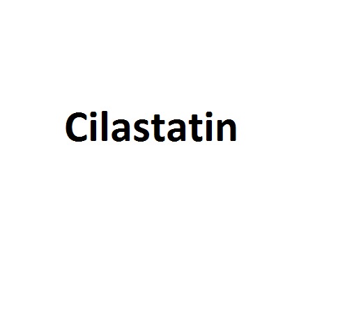 Cilastatin