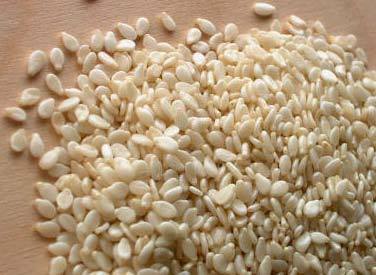 Sesame Seed