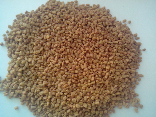 Fenugreek Seeds