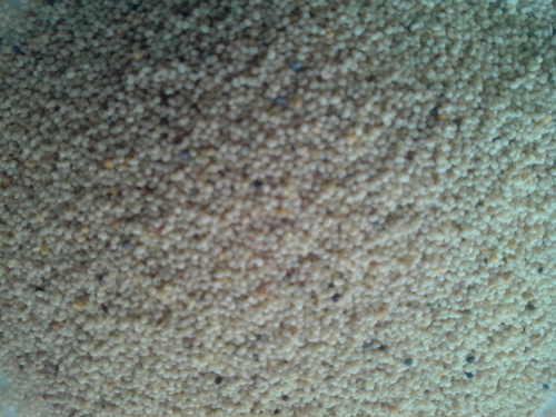 Poppy Seeds