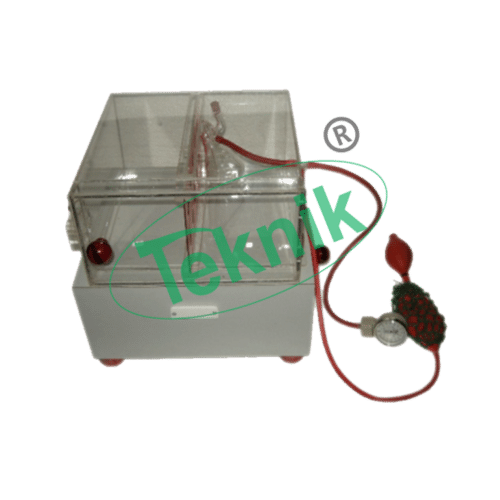 Histamine Chamber By https://www.tradeindia.com/micro-teknik-1892543/