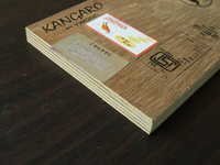 BWR Grade Plywood