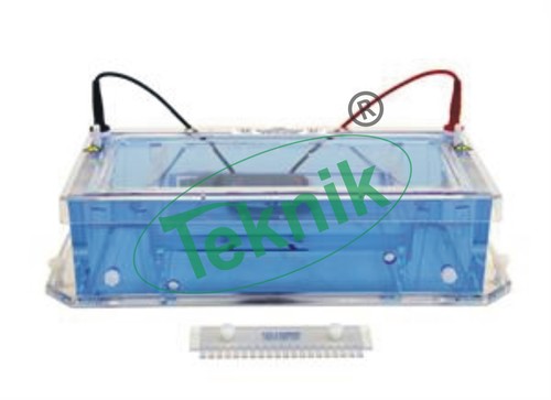 Paper Electrophoresis Apparatus