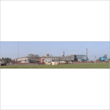 Plant Construction Service
