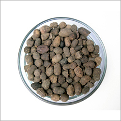 Jamun Extracts