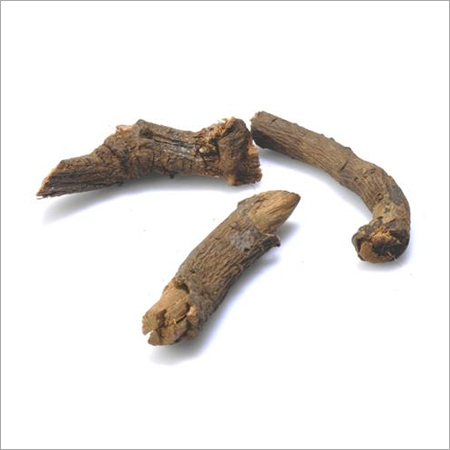 Chitrakmool Extract 