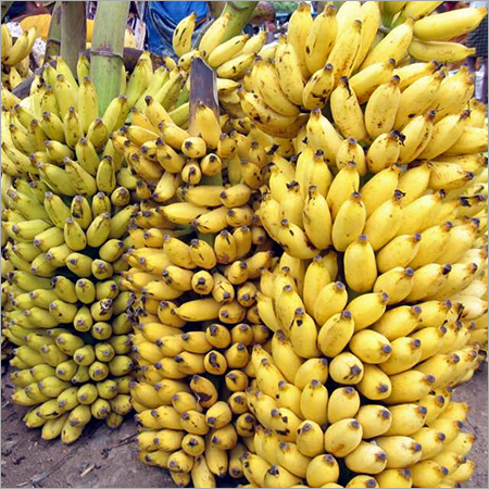 Banana fresca