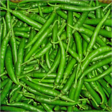 Green Chilli - Seasoned, Freshly Handpicked Spices For Culinary Applications | Ideal For Gastronomic Creations In Hotels And Restaurants
