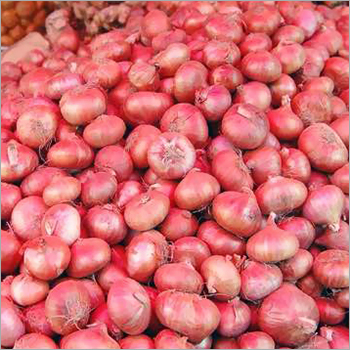 Farm Fresh Onions