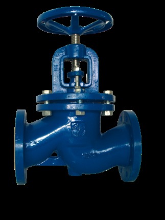 Cast iron globe valve