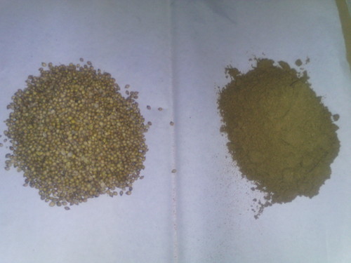 Dhaniya Powder