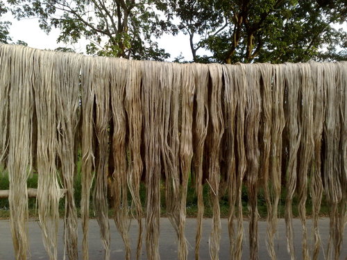 Raw Jute