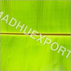 Banana Leaf