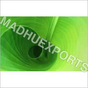 Green Banana Leaf